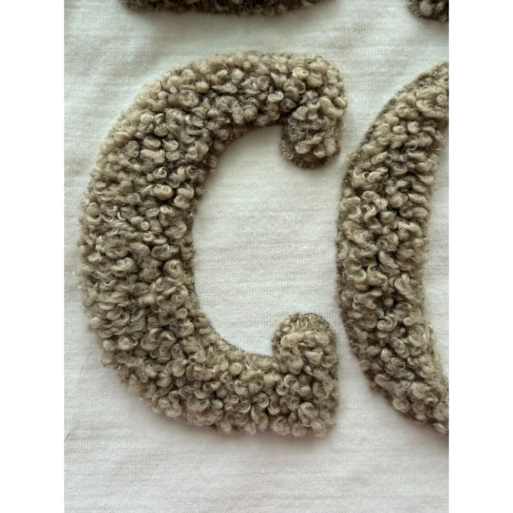 Pottery Barn STAY COZY Teddy Faux Fur Applique Pillow Cover 20